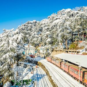 Shimla